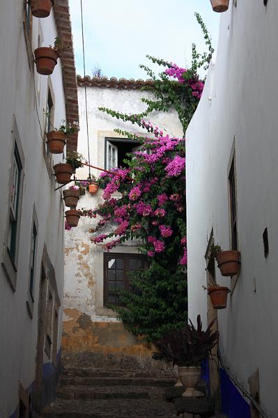 322-Obidos,29 agosto 2012.JPG